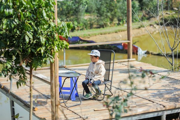 Exploration des Romans Historiques et Biographies : Déchiffrer leurs Distinctions Captivantes