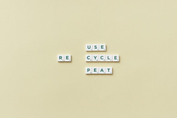 Guide complet sur l'assurance professionnelle locale : protégez-vous efficacement